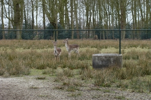 Afbeelding 35
