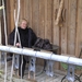 BILD0565