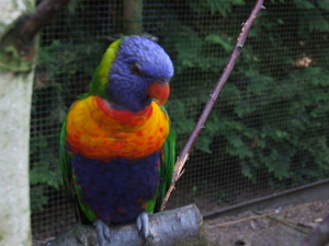 DSCF5230