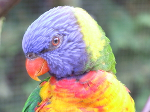 DSCF5232