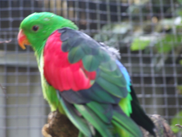 DSCF5244