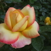 DSCF4748