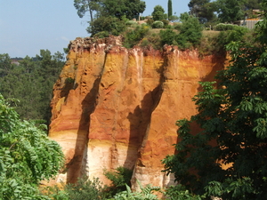 DSCF4876