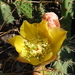 DSCF4957