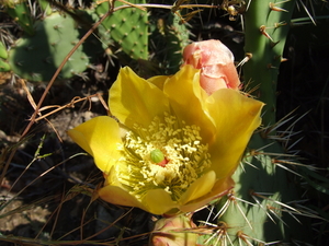 DSCF4957