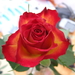 DSCF5138