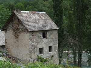 DSCF5183