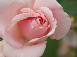 foto's Henk 027