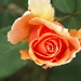 foto's Henk 040