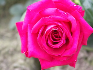 foto's Henk 039