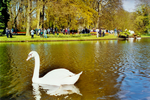 Scannen0074