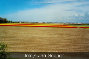 Scannen0076