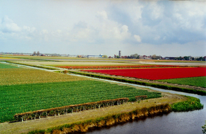 Scannen0091
