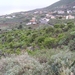 januari 2007 079
