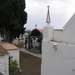 januari 2007 082