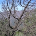 januari 2007 180