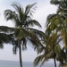 januari 2007 189