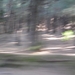 Kopie van januari 2007 175