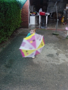 BBQ 2006