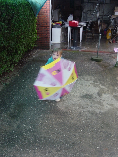 BBQ 2006