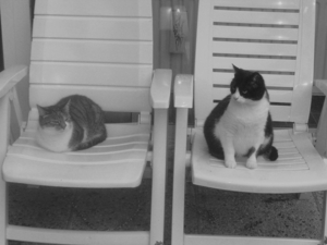 mieke en fikske ons kindjes