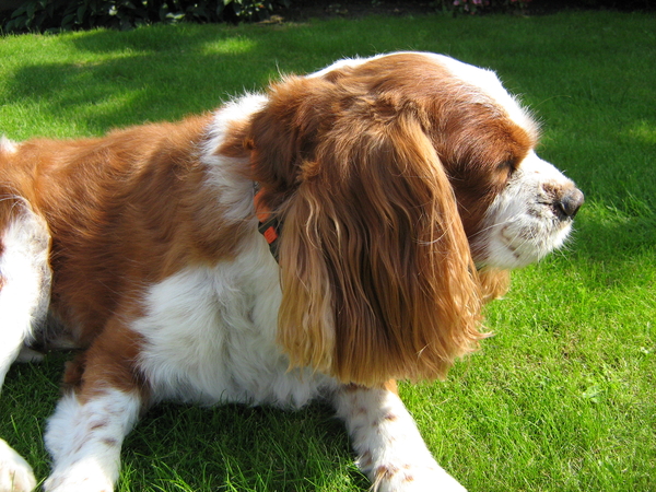 Mijn rechterkant  !!!!