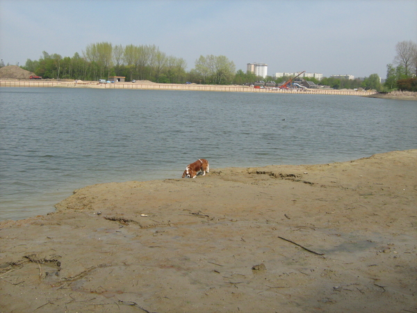 snoopy in de Blaarsmeersen