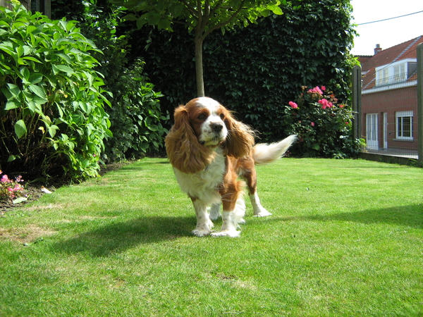 een beetje in de wind !!!