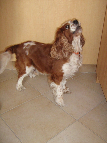 snoepppppjjjjeeee!!!!!