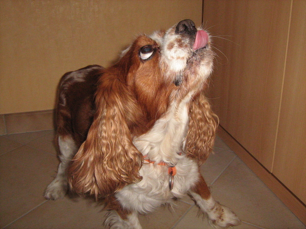 jammm.....jammm.....lekker !!!!