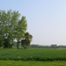 Zalig landschap