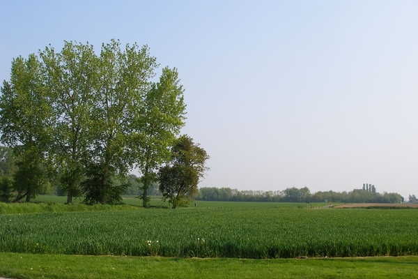 Zalig landschap