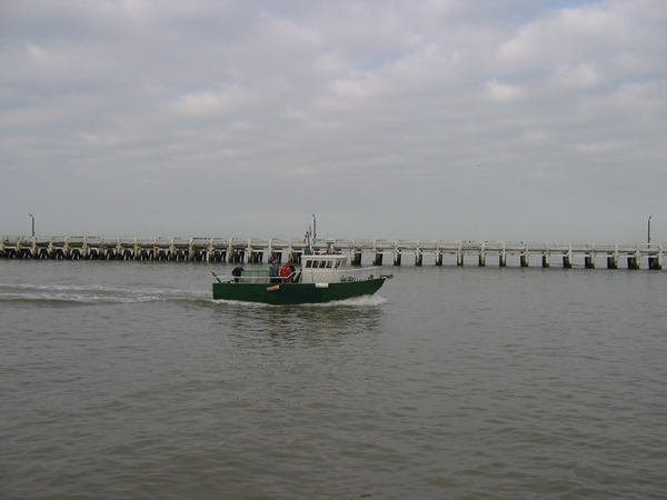 Nieuwpoort maart 2009 (50)