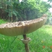 DSC03471