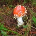 DSC01971
