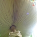DSC03472