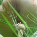 DSC03473