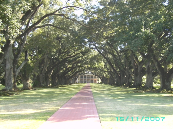 oak alley plantation
