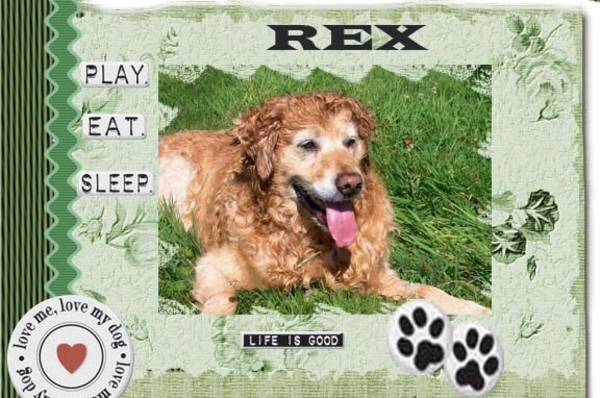 rex