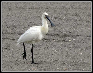 IMG_5296 - kopie
