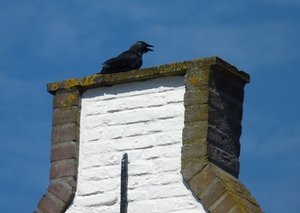 P1010281