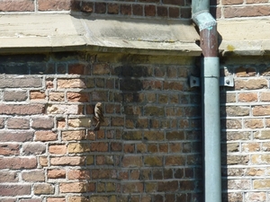 P1010282