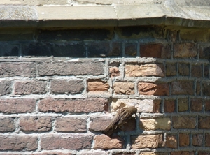 P1010286