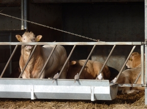 P1050201