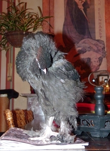 P1050126