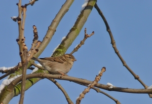 P1050355
