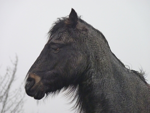 P1060091