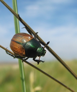 IMG_0300 [1600x1200]