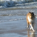 Aan het Strand