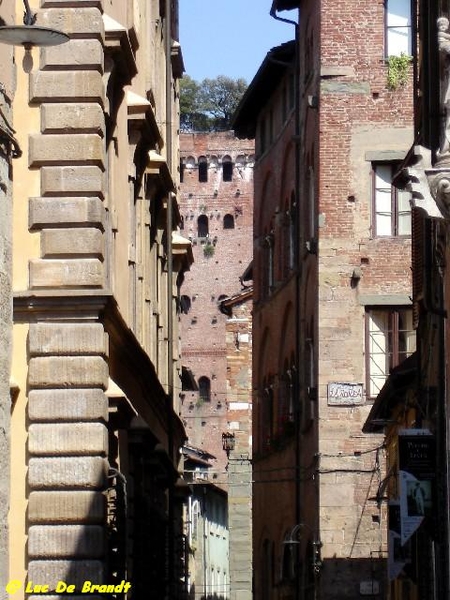 2008_06_27 Lucca 24 Torre_Guinigi